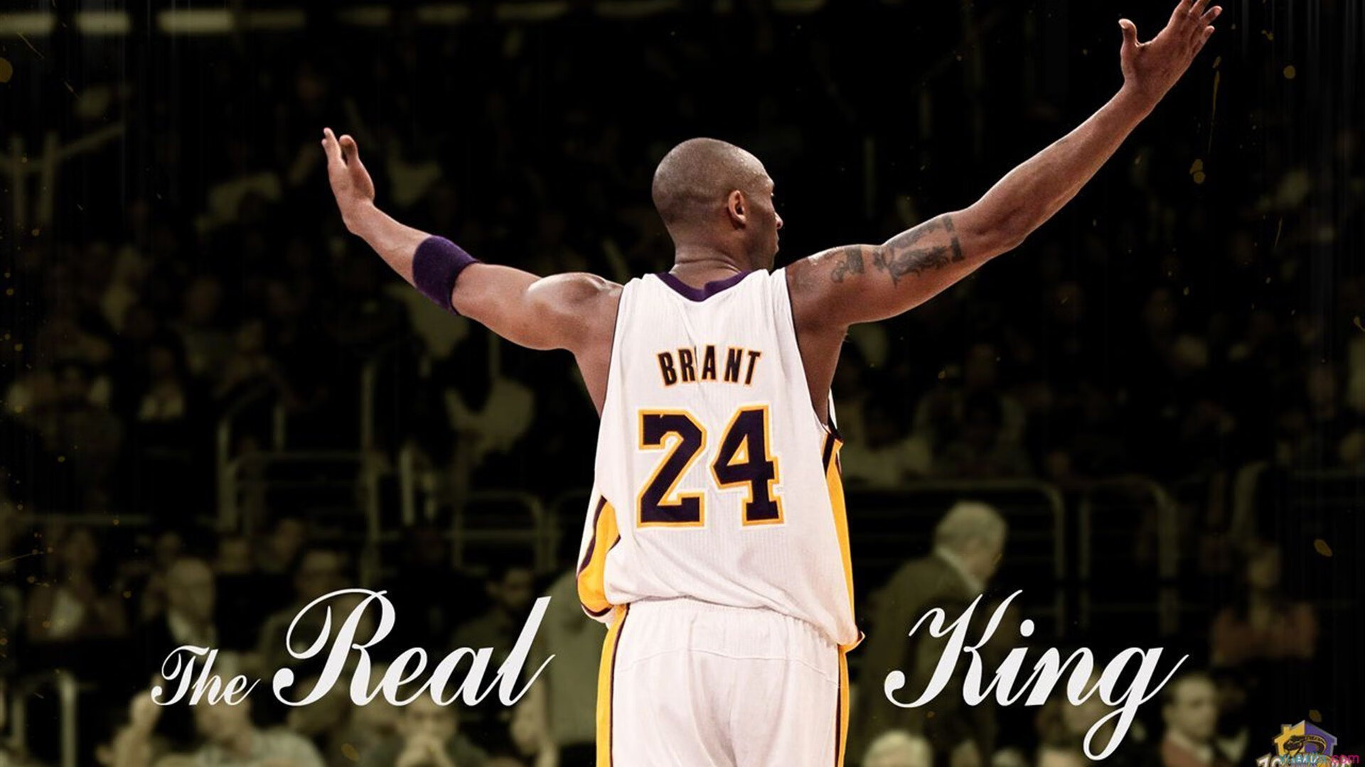 爱游戏娱乐平台-政策引导推动澳大利亚橄榄球持续发展，澳大利亚英式橄榄球联赛